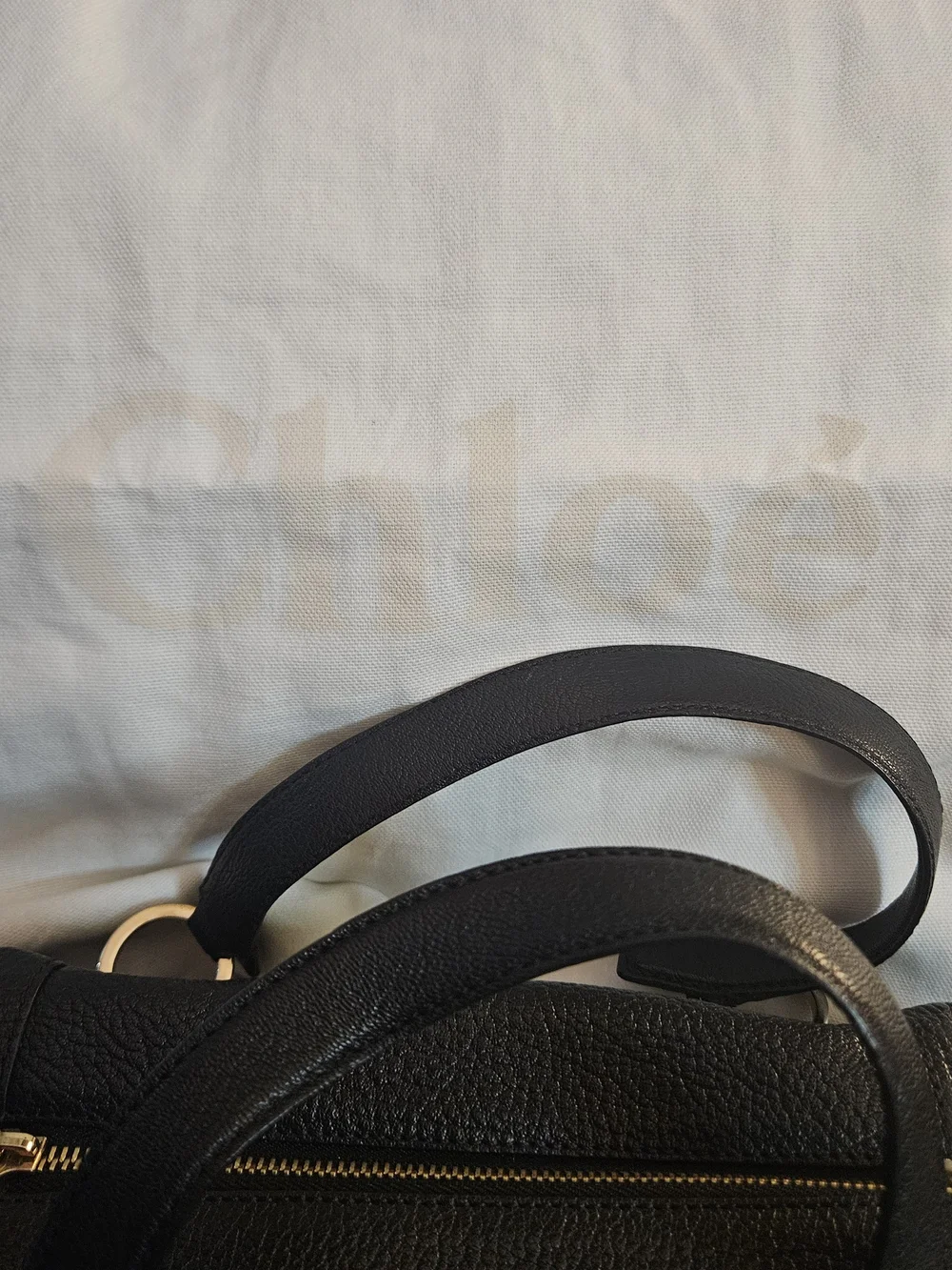 Chloe Satchal W/ Wallet